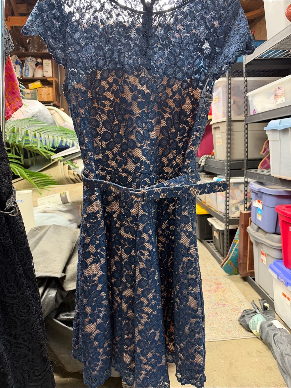 Eliza J Navy Lace Midi Dress with belted Waist